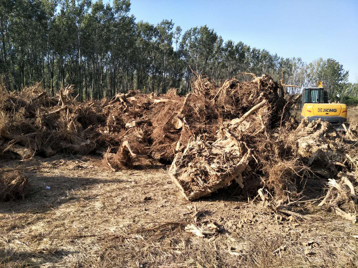 Tree Root and Stump Processing Solution with JP3600, JP5000 and JP7000 Disc Wood Chippers