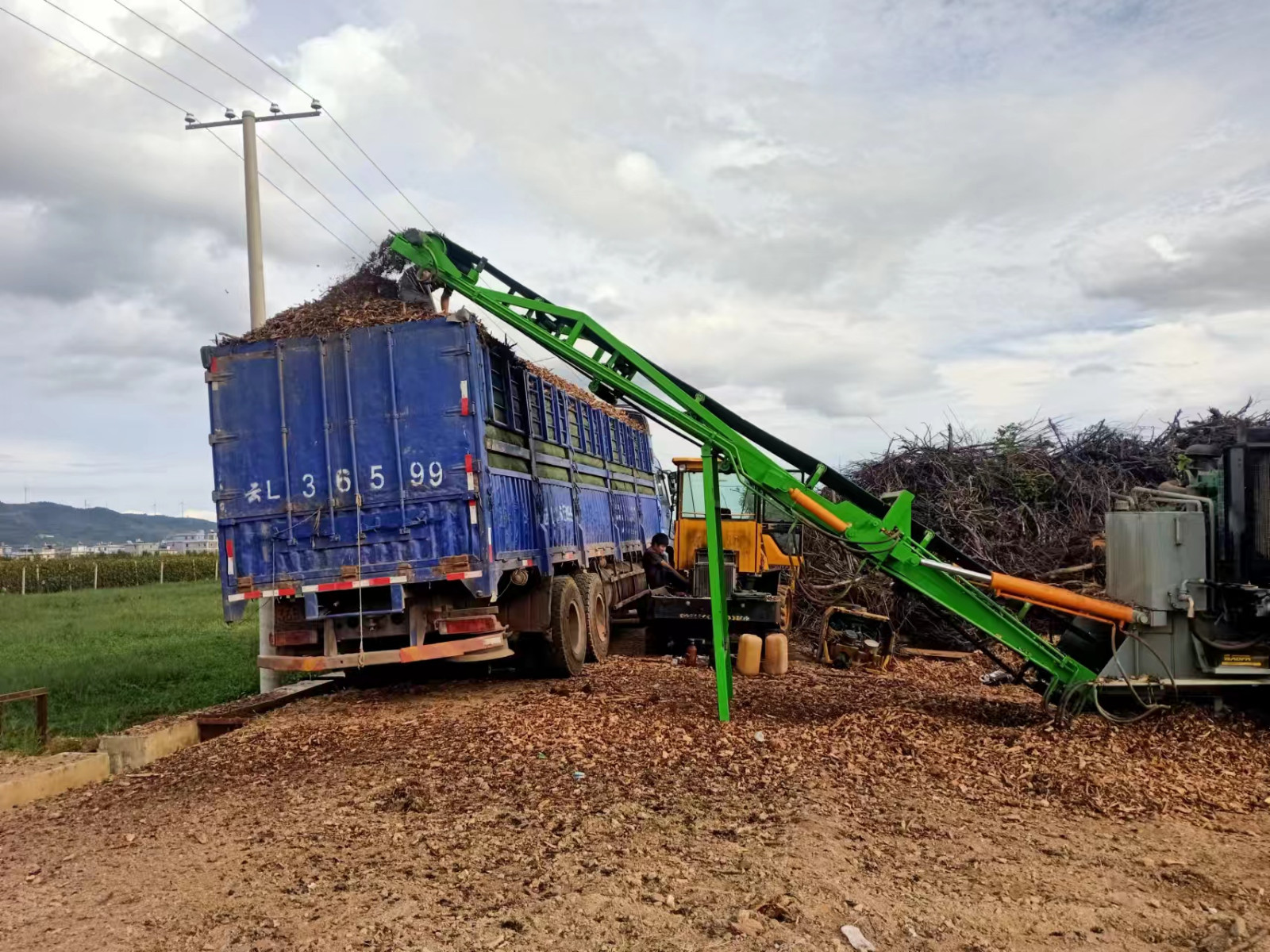 Tree Branch Processing Solution with JP1300, JP1400, JP1600 and JP2000 Horizontal Grinders