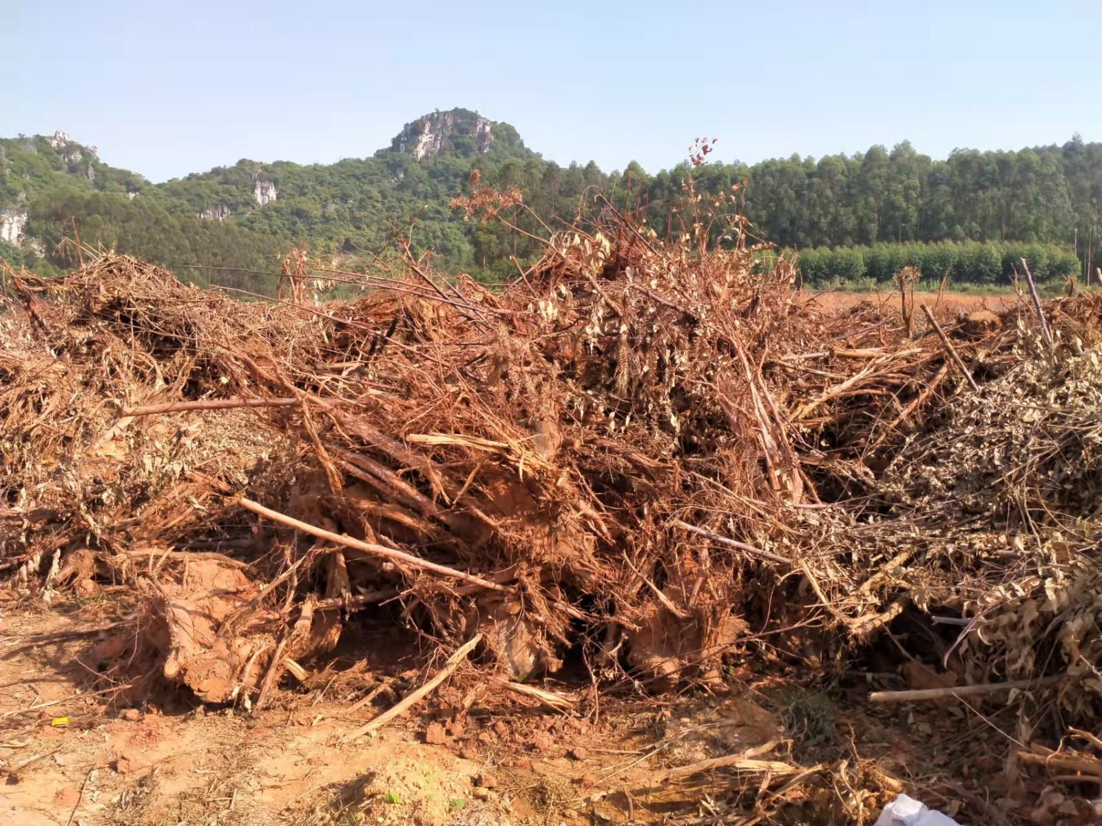 Mixed Wood Waste Processing Solution with JP2000, JP5000 and JP7000